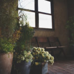 レンガ敷きアンティークチェアと窓と植物